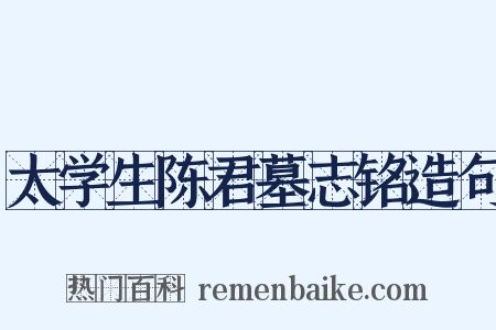 太学生陈君墓志铭造句是什么意思的图片